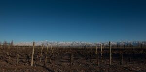 Mendoza-Renata-Mello-8-1100x542