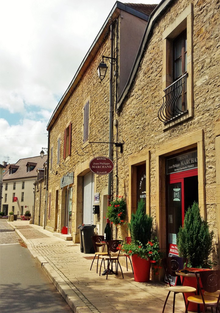 Construções de pedra e calmaria em Gevrey-Chambertin