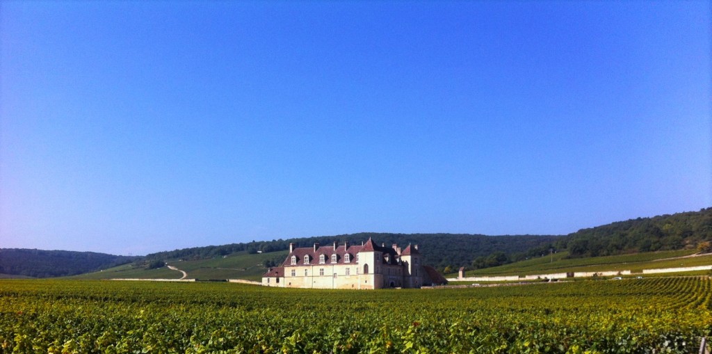 De longe, o Château du Clos de Vougeot parece flutuar na extensa plantação de uvas