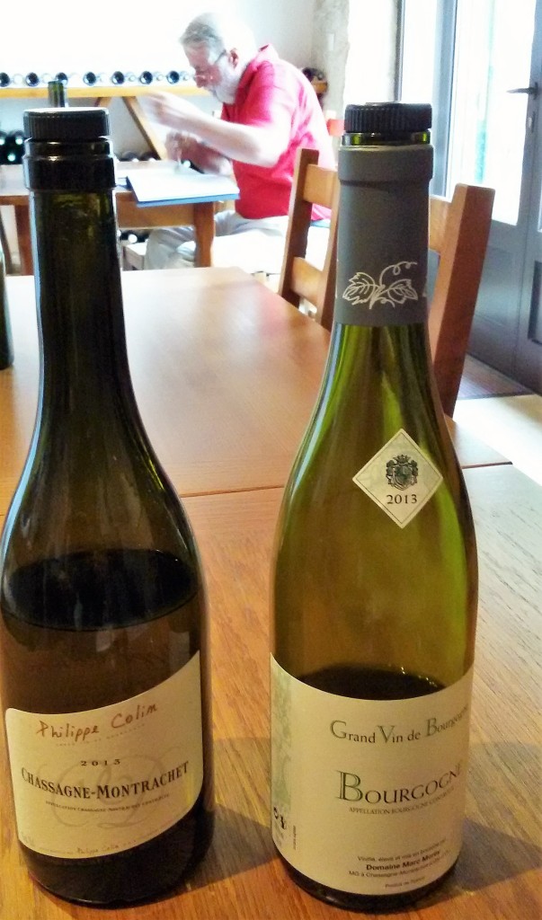 Vinhos que provamos e, ao fundo, um degustador