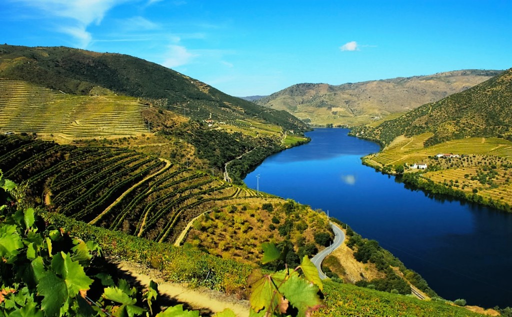 Paisagem de vinhedos ao longo do rio Douro, em Portugal: mais antiga região demarcada do mundo (foto: reprodução da internet)