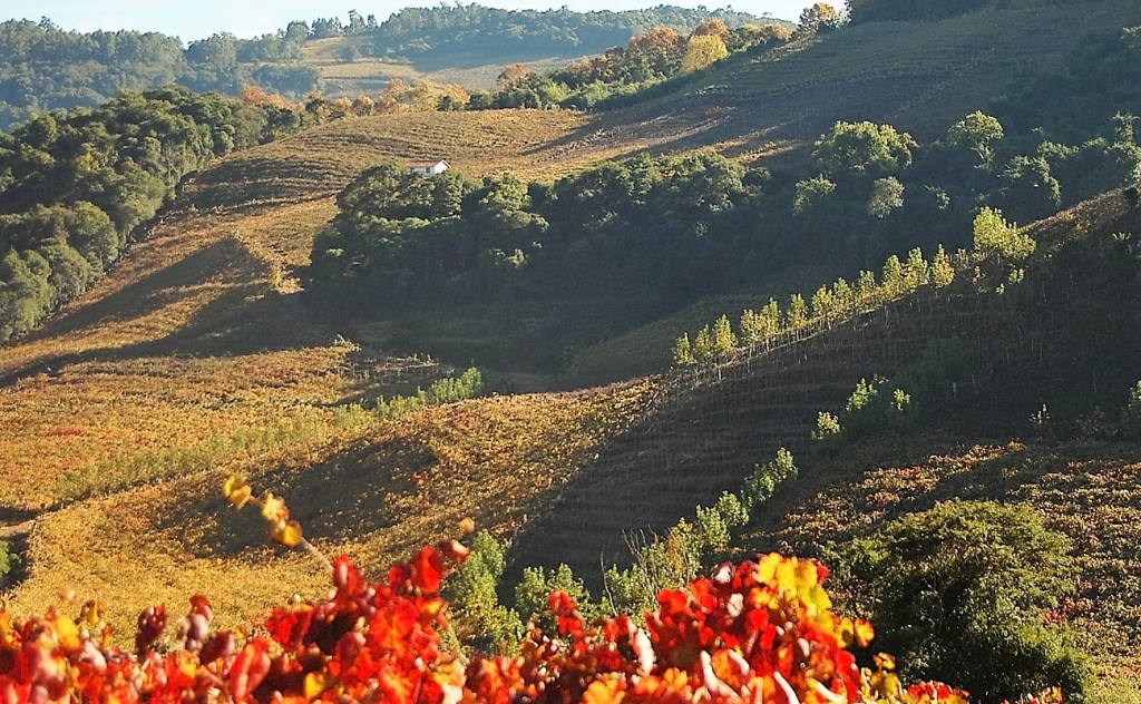 Vista geral do Vale dos Vinhedos e as cores do outono (foto: acervo Aprovale)