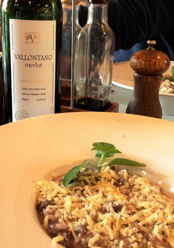 Risoto de filé com o Reserva Merlot 20008