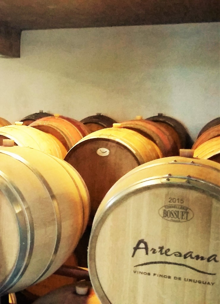 Barricas de carvalho francês e americano para o amadurecimento dos vinhos