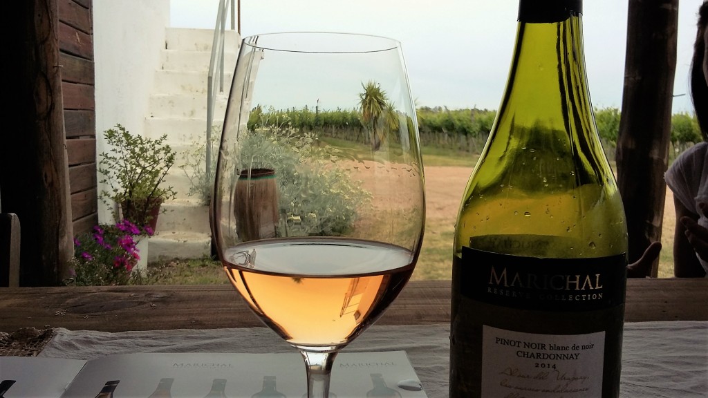 Vinho branco alaranjado: incrível combinação de pinot noir 'blanc de noir' com chardonnay