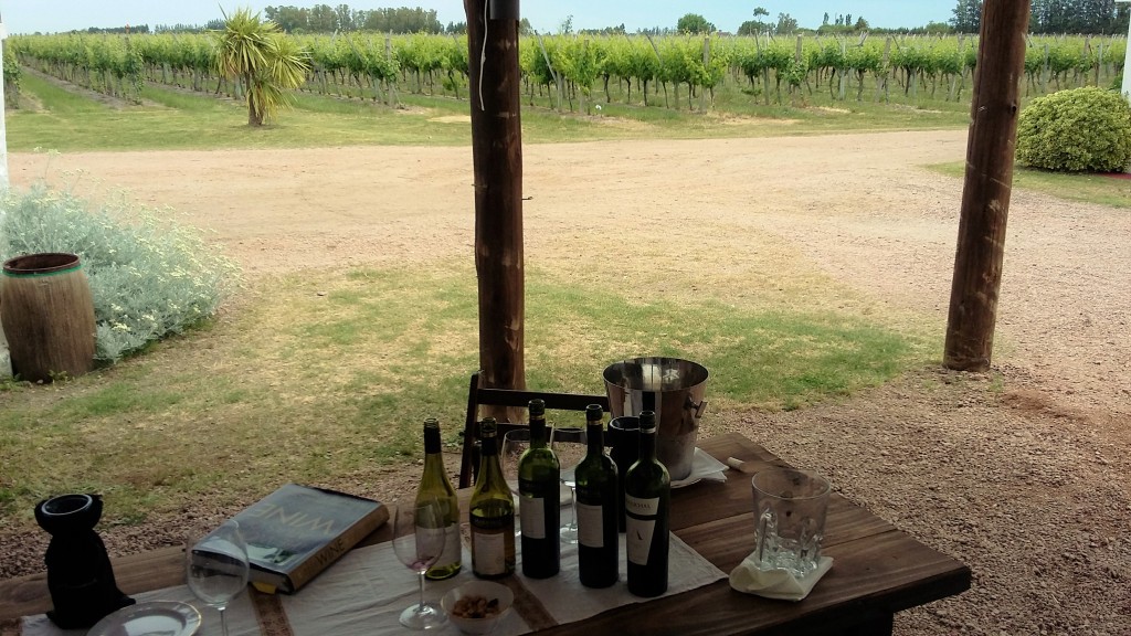 Degustação farta no 'quintal'. de frente para os vinhedos