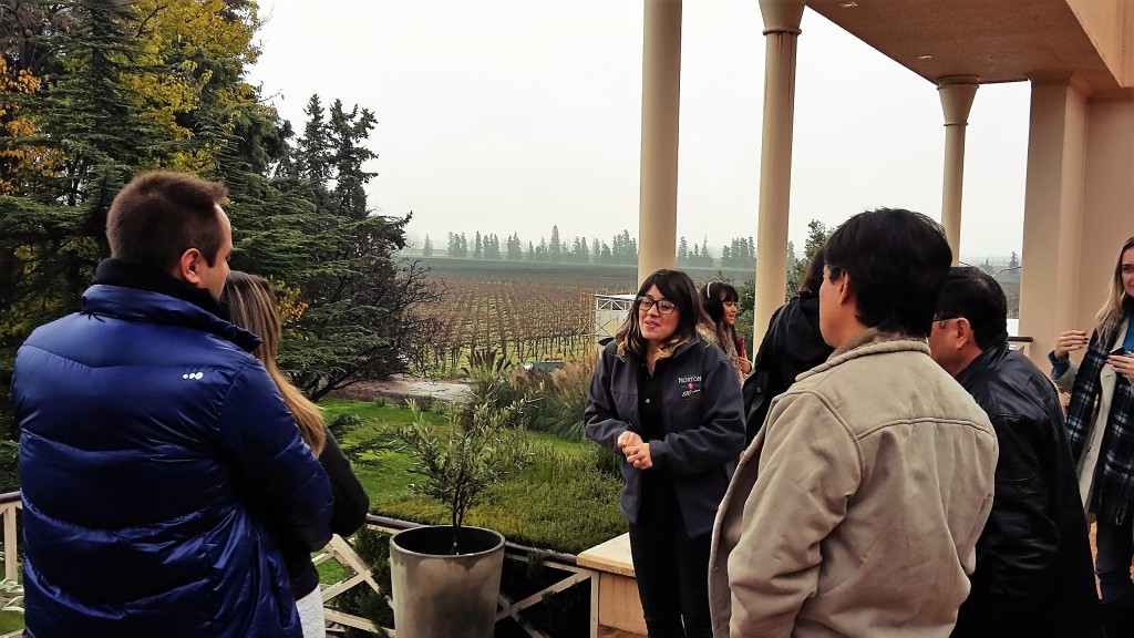 Visita é recheada de histórias e termina com degustação de 4 vinhos