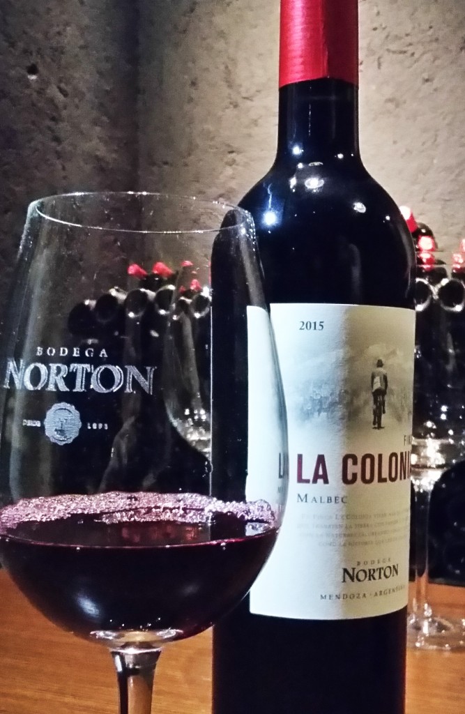 Norton visita - vinho 1 Colonia